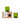 Set 2 verres vert